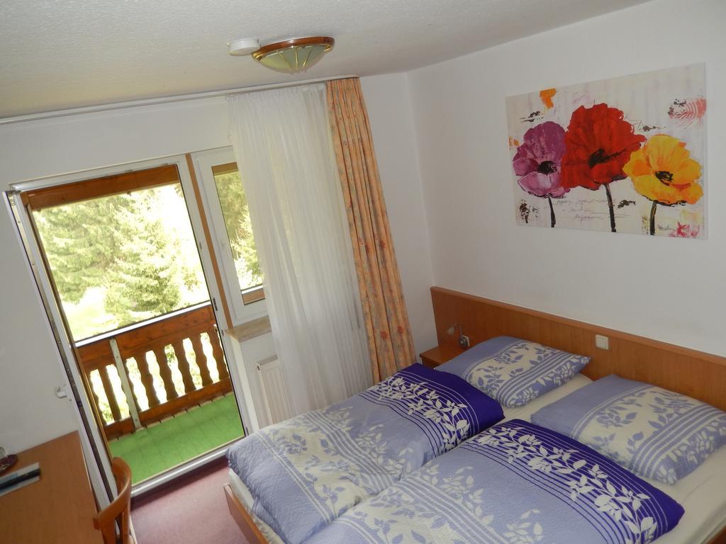 Hotel-Pension Rennsteighutte フラウエンヴァルト エクステリア 写真